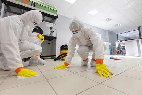 PREVENT MOLD WITH OUR ANTI MOLD PAINT