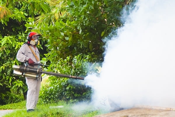 PEST CONTROL SERVICES