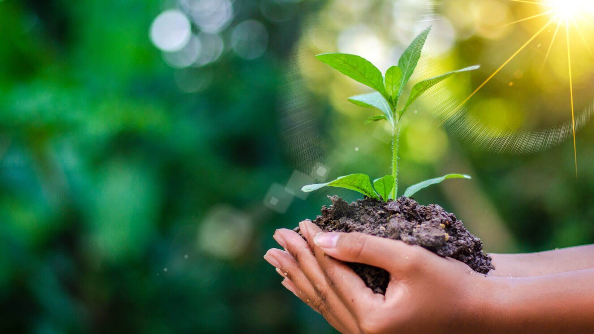 EcoSense Pte. Ltd.