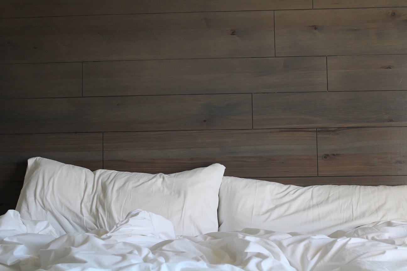 BED BUGS REMOVAL SERVICES IN SINGAPORE