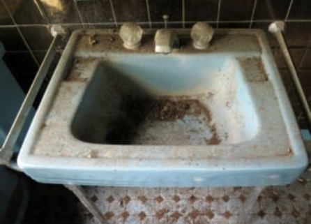 What Is Mould/Mold?