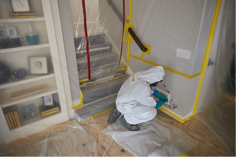 MOLD REMEDIATION SERVICES