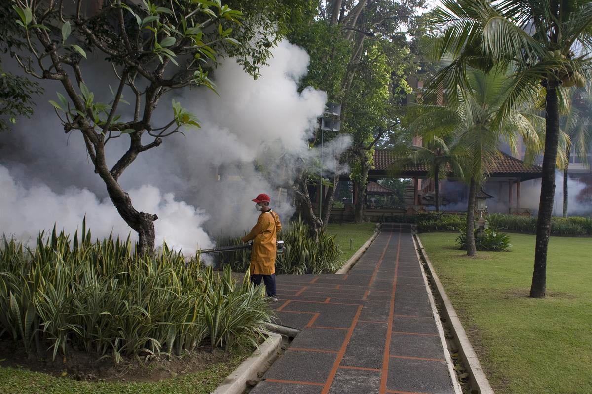MOSQUITO FOGGING SERVICES IN SINGAPORE