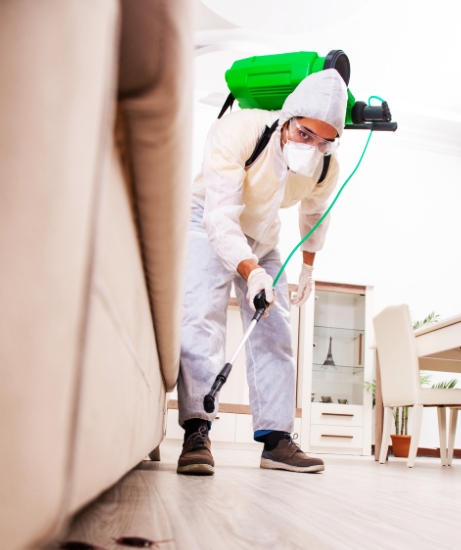 EcoSense Pte. Ltd.
