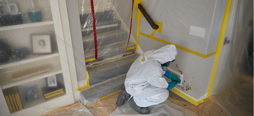 HOW DO PROFESSIONALS DO MOLD REMEDIATION? A COMPLETE GUIDE