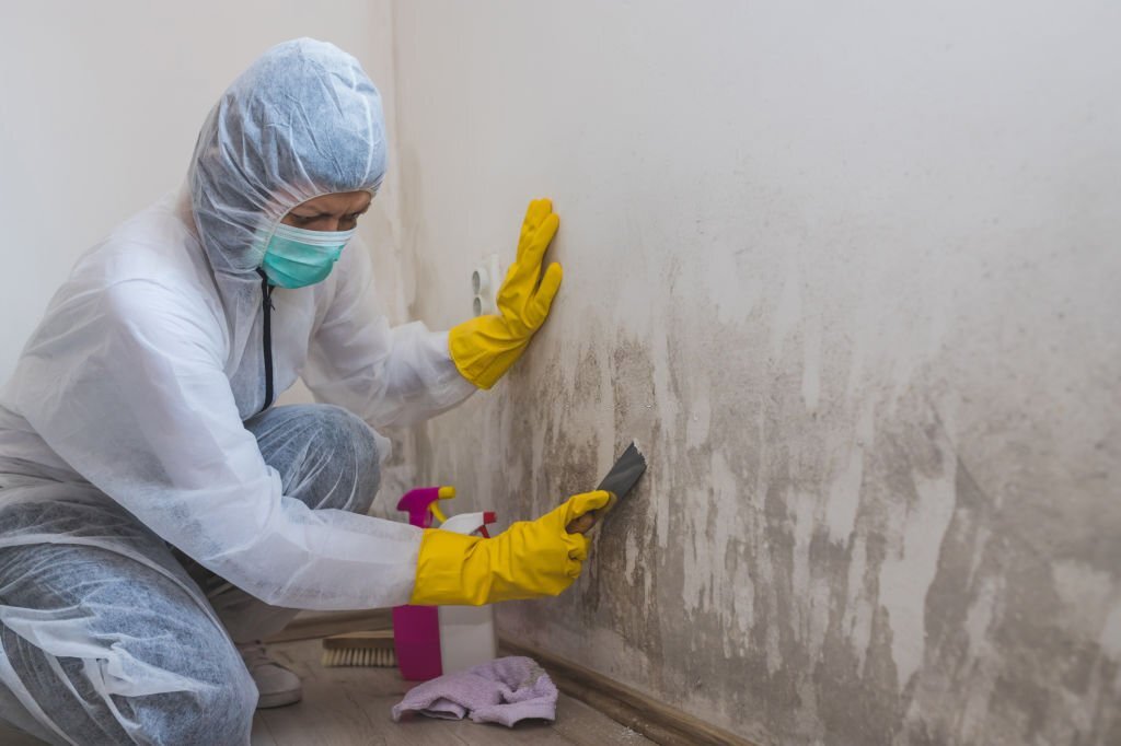 Unique Tips to Prevent & Stop Mold From Spreading